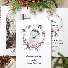 Cartão De Festividades Foca Bebê Aconchegante Aquarela Foto de Natal