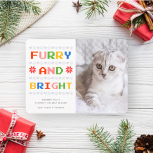 Cartão De Festividades Fofo e Radiante Foto de Gato de Natal