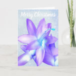 Cartão De Festividades *~** Folha de Natal com Brilho Personalização Azul<br><div class="desc">* Faux Glitter Felry Christmas Flower Photograph Versatile Messages Greeting Card * Esta foto tirada por mim é de uma das minhas plantas favoritas, conhecida como Natal Cactus. No médio do inverno eu adoro flores florescendo em minha casa. Eu fiz uma pequena magia digital com ela para dar a vocês...</div>