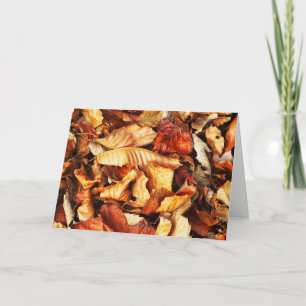 Cartão De Festividades Folhas de outono