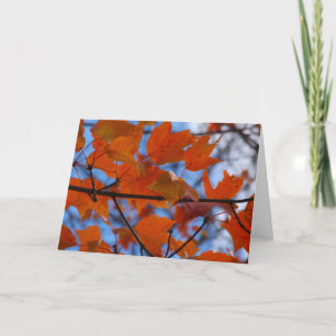 Cartão De Festividades Folhas de outono animadas