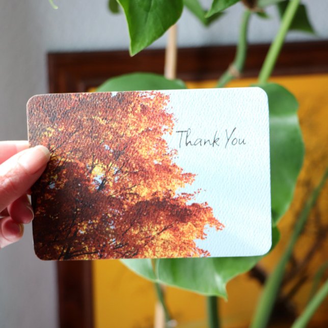 Cartão De Festividades Folhas do Autumn Maple (Criador carregado)