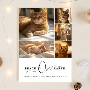 Cartão De Festividades Foto Colagem Paz na Terra Gato de Natal Feliz