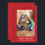 Cartão De Festividades Foto da cadeia de luz natalícia<br><div class="desc">Uma fileira de luzes vermelhas, verdes, amarelas e azuis das árvores de Natal e sua foto favorita com seus nomes e saudações em letras quentes são uma bela maneira de enviar alegria de férias. **ADICIONE mais fotos ou detalhes na parte traseira. Selecione Matte para o papel mais pesado e alta...</div>