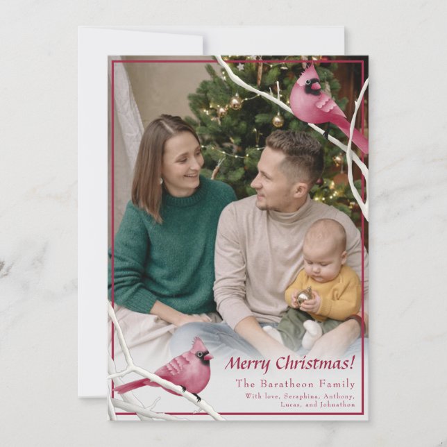 Cartão De Festividades Foto da família de aves cardinais de Natal bonitas (Frente)