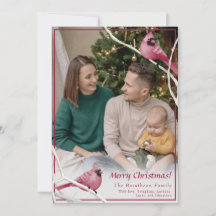 Foto da família de aves cardinais de Natal bonitas