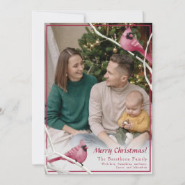 Cartão De Festividades Foto da família de aves cardinais de Natal bonitas