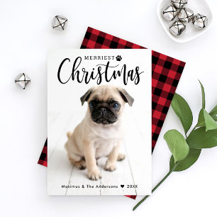 Cartão De Festividades Foto de animal de estimação com xadrez de búfalo v
