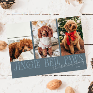 Cartão De Festividades Foto de cachorro em azul ardósia no Natal com Pata