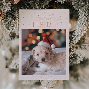 Cartão De Festividades Foto de cachorro festiva positivamente em pêssego