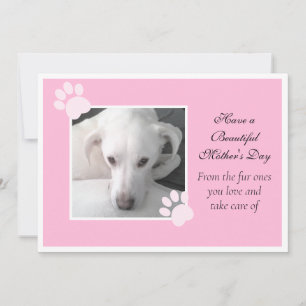 Cartão De Festividades Foto de Cachorro Fofo Quadro de Pata do Dia das Mã