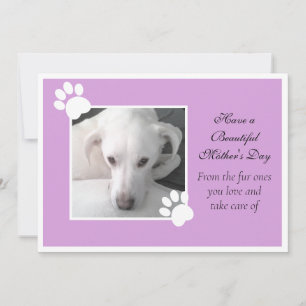 Cartão De Festividades Foto de Cachorro Fofo Quadro de Pata do Dia das Mã