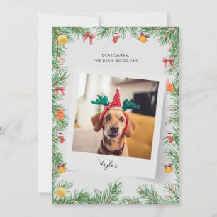Cartão De Festividades Foto de Cachorro Pet Engraçado, Natal Personalizad