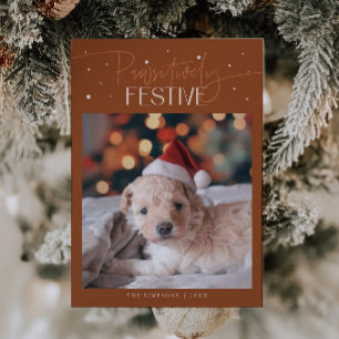 Cartão De Festividades Foto de Cachorro Terracota Positivamente Festiva