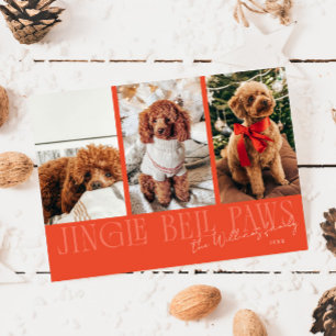 Cartão De Festividades Foto de Cachorro Vermelho de Natal Jingle Bell Paw