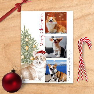 Cartão De Festividades Foto de Cão de Pet de Árvore de Natal Corgi
