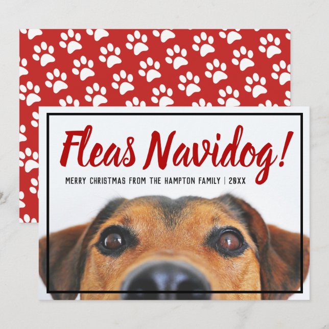 Cartão De Festividades Foto De Cão Engraçado Feliz Navidad Pet De Natal (Frente/Verso)