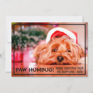 Cartão De Festividades Foto de Cão Humbug Pet Natal