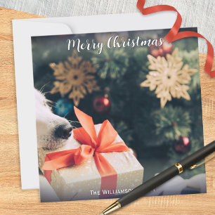 Cartão De Festividades Foto de Cão Nome Personalizado Moderno Feliz Natal