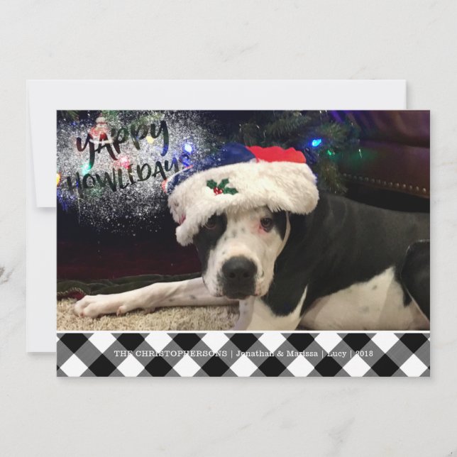 Cartão De Festividades Foto de cão | YAPPY HOWLIDAYS | Verificação de Búf (Frente)