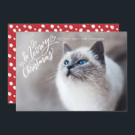 Cartão De Festividades Foto de Cheio de Gato com Mão de Natal Impressiona<br><div class="desc">Apresentando nossa letra de mão que diz "Feliz Natal" em branco.</div>