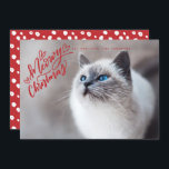 Cartão De Festividades Foto de Cheio de Gato com Mão Vermelha de Feliz Na<br><div class="desc">Apresentando nossa letra de mão que diz "Feliz Natal" em vermelho.</div>