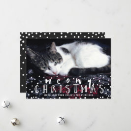 Cartão De Festividades Foto de Feriado de Gato de Moldura de Neve de Nata