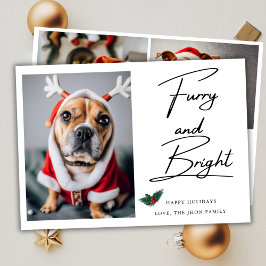 Cartão De Festividades Foto de Furry e Bright Pet Dog Mistletodo Natal