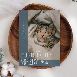 Cartão De Festividades Foto de Gato de Feliz Puramente Azul