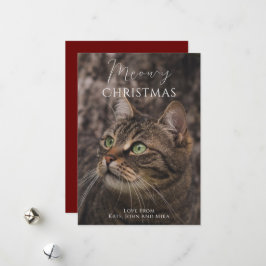 Cartão De Festividades Foto de gato de Natal