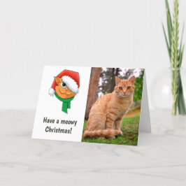 Cartão De Festividades Foto de Gato de Natal