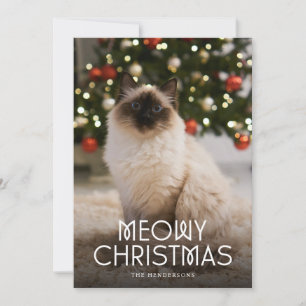 Cartão De Festividades Foto de gato de Natal