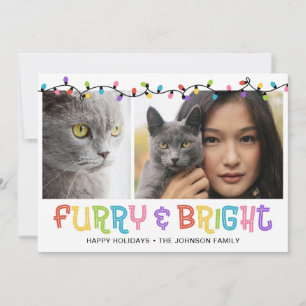 Cartão De Festividades Foto de Gato Fofo e Brilhante