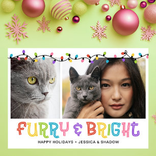 Cartão De Festividades Foto de Gato Fofo e Brilhante