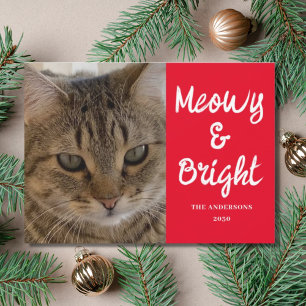 Cartão De Festividades Foto de Gato Meowy e Brilhante Natal