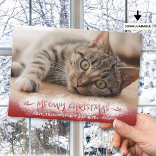 Cartão De Festividades Foto de Gato NATAL MEOWY Neve Vermelha