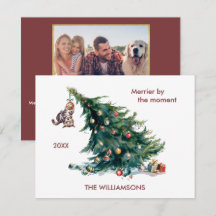 Foto de gato perigosa da árvore de Natal