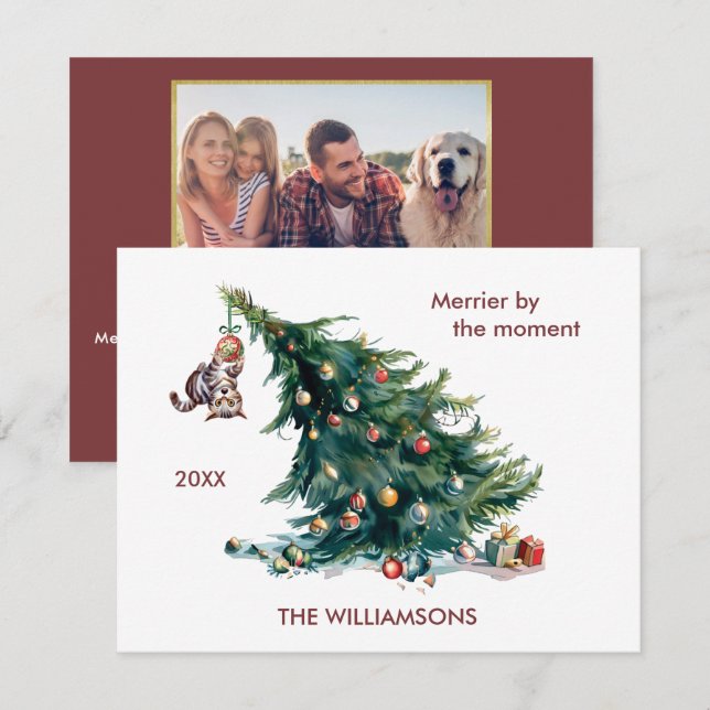 Cartão De Festividades Foto de gato perigosa da árvore de Natal (Frente/Verso)