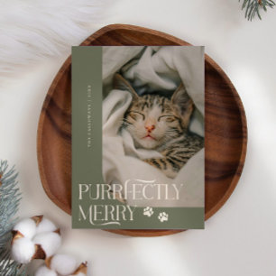 Cartão De Festividades Foto de Gato Puramente Feliz, Natal Verde