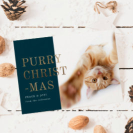 Cartão De Festividades Foto de Gato Puro de Natal Dourado Profundo