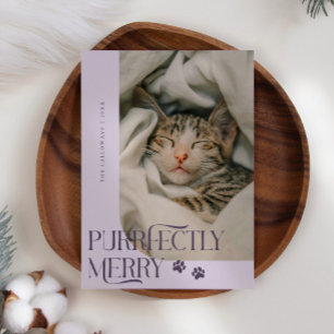 Cartão De Festividades Foto de Gato Puro, Feliz, Natal