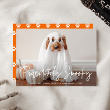 Foto de Halloween Petrificante para Pets