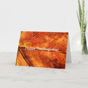 Cartão De Festividades Foto de Macro Folha de outono, Feliz Ação de Gra