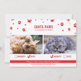 Cartão De Festividades Foto de Natal Bela ou Bela de Dois Gatos