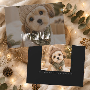 Cartão De Festividades Foto de Natal de Cachorrinho Fofo e Feliz