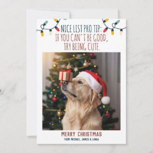 Cartão De Festividades Foto de Natal de Cachorro Engraçado com Nomes Pers