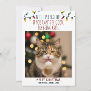 Cartão De Festividades Foto de Natal de Gato Engraçado com Nomes Personal