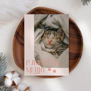 Cartão De Festividades Foto de Natal de Gato Puramente Feliz