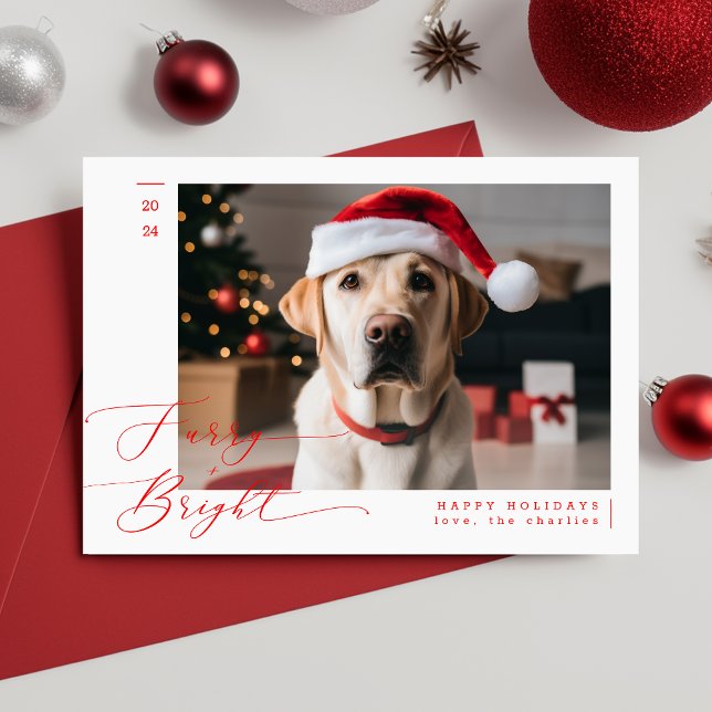 Cartão De Festividades Foto de Natal de Pet Dog Engraçado com Furry (Criador carregado)