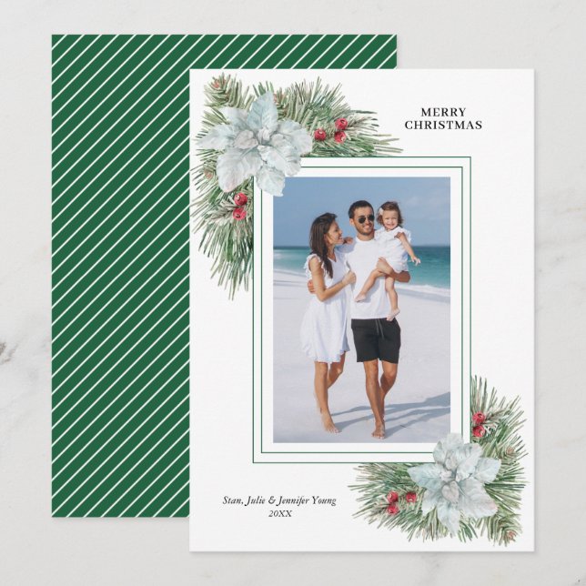 Cartão De Festividades Foto de Natal de White Poinsettia e Pines (Frente/Verso)